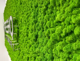 Ściana z mchu pokryta żywym zielonym mchem ma wypukłe metalowe litery tworzące częściowo widoczny znak.