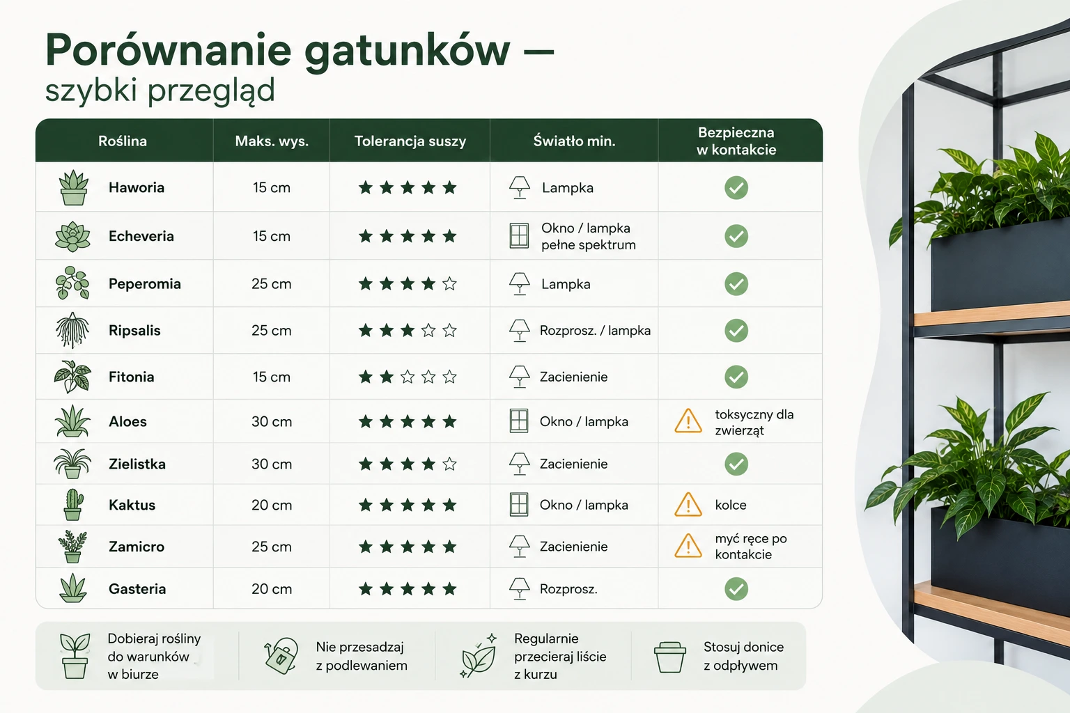 Tabela porównująca popularne rośliny na biurko pod względem maksymalnej wysokości, stopnia trudności w pielęgnacji, wymagań świetlnych oraz bezpieczeństwa, wraz ze zdjęciami roślin i ikonami przedstawiającymi informacje dotyczące pielęgnacji po prawej stronie.
