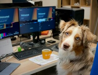 Pies siedzi na krześle przed biurkiem, na którym znajduje się laptop, dwa monitory z napisem „Witamy!”, klawiatura, słuchawki i kubek.