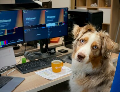 Pies siedzi na krześle przed biurkiem, na którym znajduje się laptop, dwa monitory z napisem „Witamy!”, klawiatura, słuchawki i kubek.