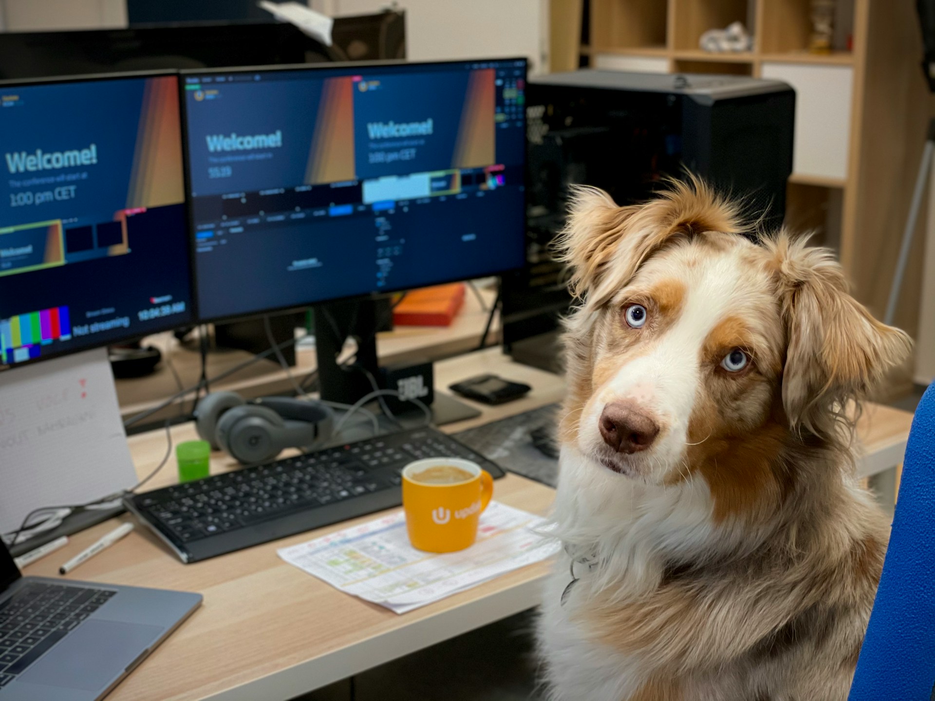 Pies siedzi na krześle przed biurkiem, na którym znajduje się laptop, dwa monitory z napisem „Witamy!”, klawiatura, słuchawki i kubek.
