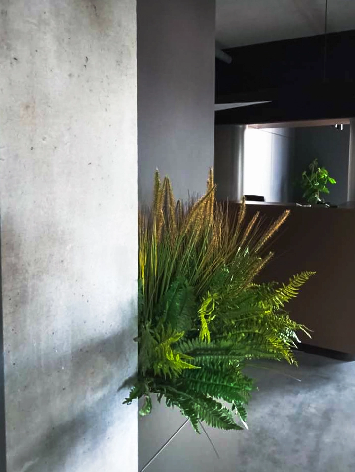 W nowoczesnym, minimalistycznym wnętrzu do narożnika betonowej ściany przymocowano wiązkę zielonych paproci i wysokich traw, nadając mu naturalną elegancję przypominającą mobilne donice w biurze typu open space.