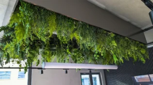 Zielone rośliny zwisają z ruchomych donic w biurze typu open space, zawieszonych na montowanej przy suficie półce nad nowoczesną częścią biurową, a poniżej widać świetlówkę i okna.