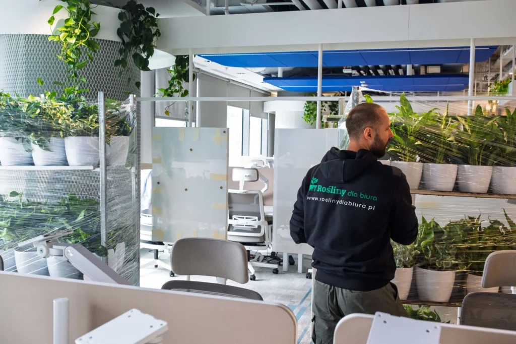 Zieleń w biurze już na etapie fit-out – jak to zaplanować?