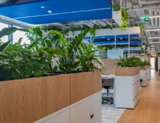 Nowoczesne biuro typu open space z drewnianymi donicami wypełnionymi zielonymi roślinami, białymi szafkami, biurkami oraz niebieskim sufitem z odsłoniętymi kanałami wentylacyjnymi i rurami.