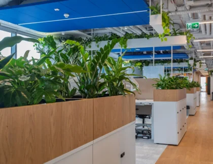 Nowoczesne biuro typu open space z drewnianymi donicami wypełnionymi zielonymi roślinami, białymi szafkami, biurkami oraz niebieskim sufitem z odsłoniętymi kanałami wentylacyjnymi i rurami.