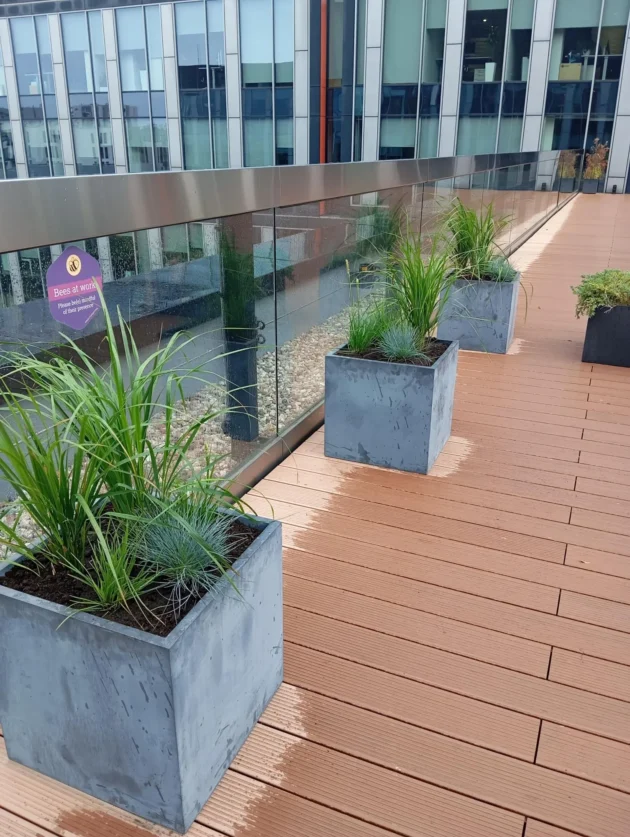 Prostokątne donice z zielonymi roślinami ustawione są wzdłuż drewnianego tarasu przy szklanej balustradzie, tworząc atrakcyjną zieleń na tarasie biurowca, a w tle widać sam budynek biurowy.