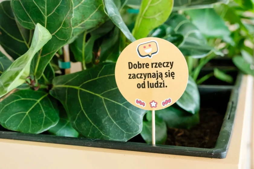 Okrągły napis umieszczony w doniczce z rośliną w siedzibie restauracji, na którym widnieje napis: „Dobre rzeczy zaczynają się od ludzi”.