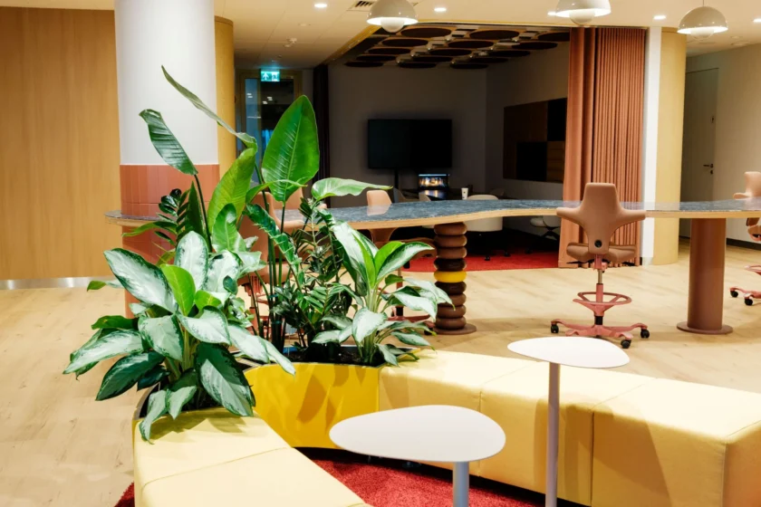 Duże rośliny doniczkowe w siedzibie sieci restauracji, ustawione przed żółtą sofą modułową oraz długim, zakrzywionym stanowiskiem roboczym z ergonomicznymi stołkami.